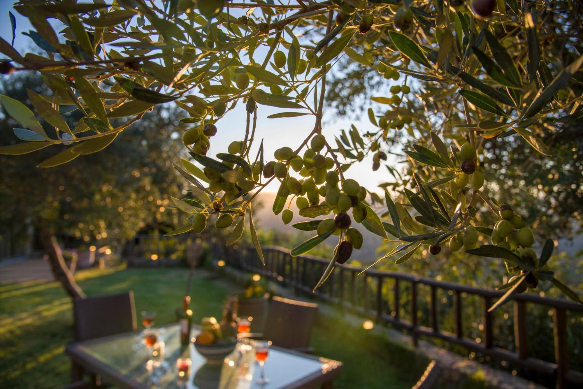 Malathiros Traditional Villas מראה חיצוני תמונה